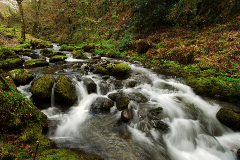 Dolgoch,Falls,,Wales