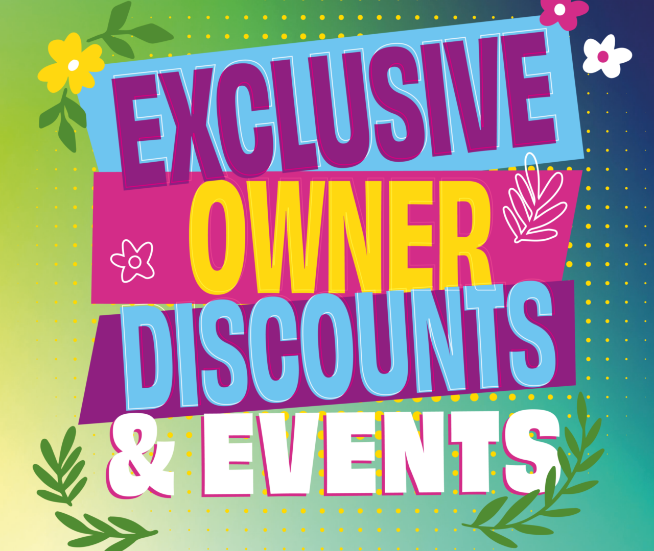 SF_Spring Campaign_Website Banners_1080x10803 SF_Spring Campaign_Website Banners_1080x10803